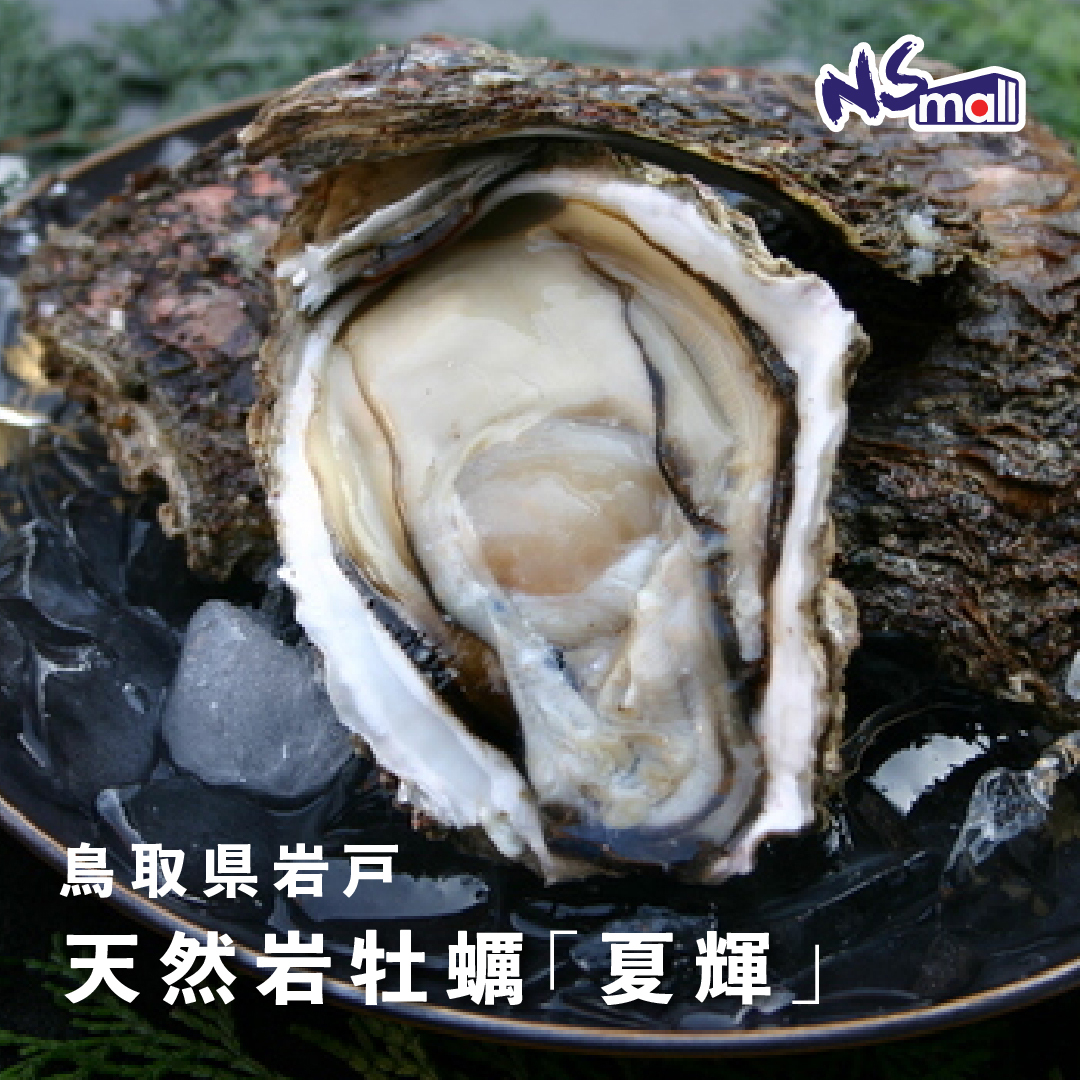 鳥取県岩戸 夏輝生蠔 約900g-1kg/隻