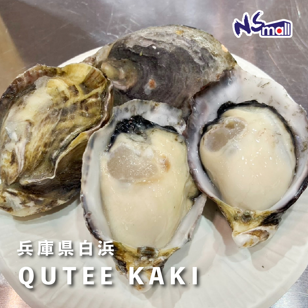 兵庫県白浜 Qutee Kaki 約50-60g/隻 /心形原箱