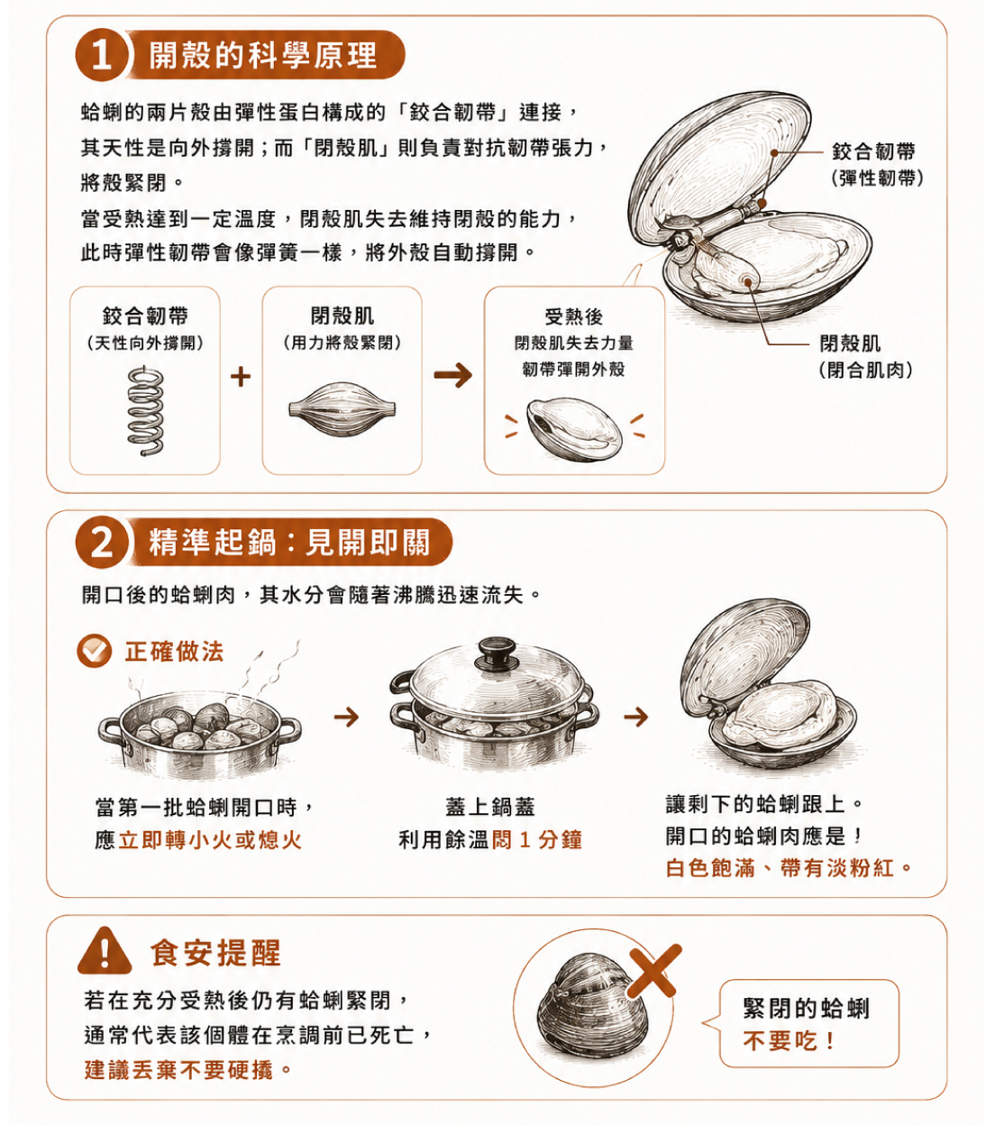 蛤蜊烹調原理:受熱後閉殼肌放鬆,利用餘溫悶熟可保持肉質飽滿