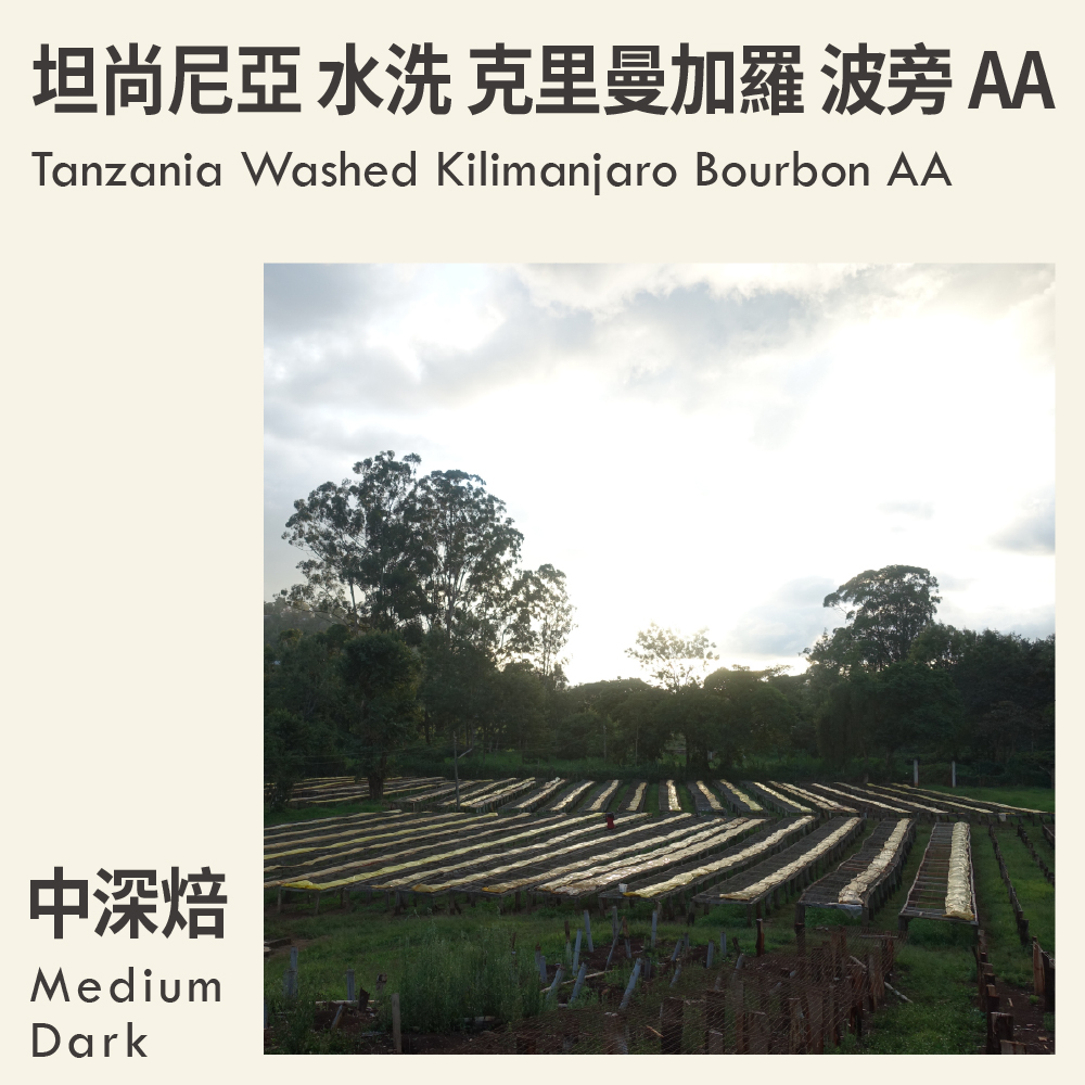 坦尚尼亞 水洗 克里曼加羅 波旁 AA