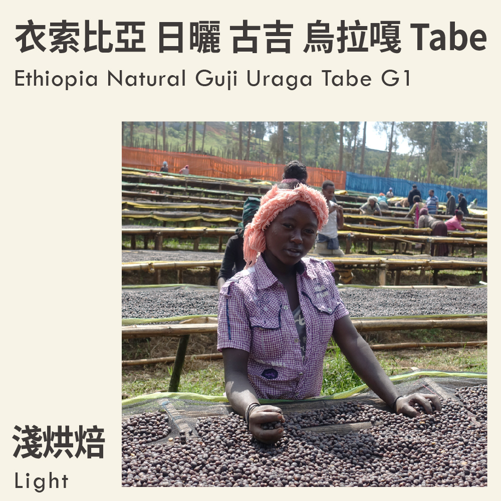 衣索比亞 日曬 古吉 烏拉嘎 Tabe G1