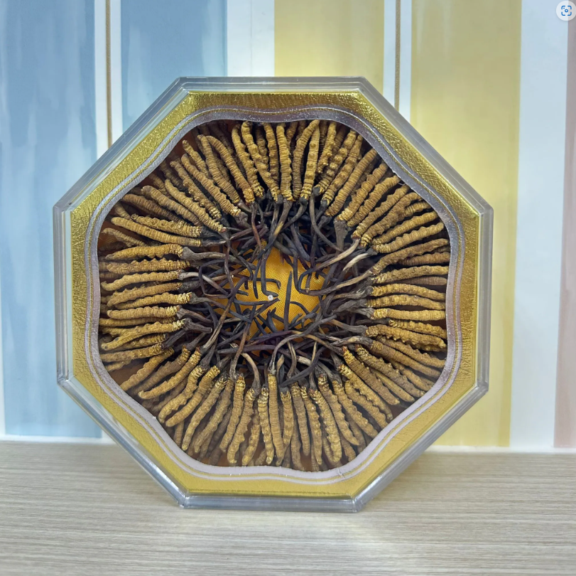 TR15 終極版野生那曲龍頭天草 90-120條/盒 (新草) (37.5g) **到期日:約2027/12  [需擺放雪櫃(0-8度)，如預計較長時間食用，應密封好存放入雪櫃冰格(-18度或以下) 為佳]