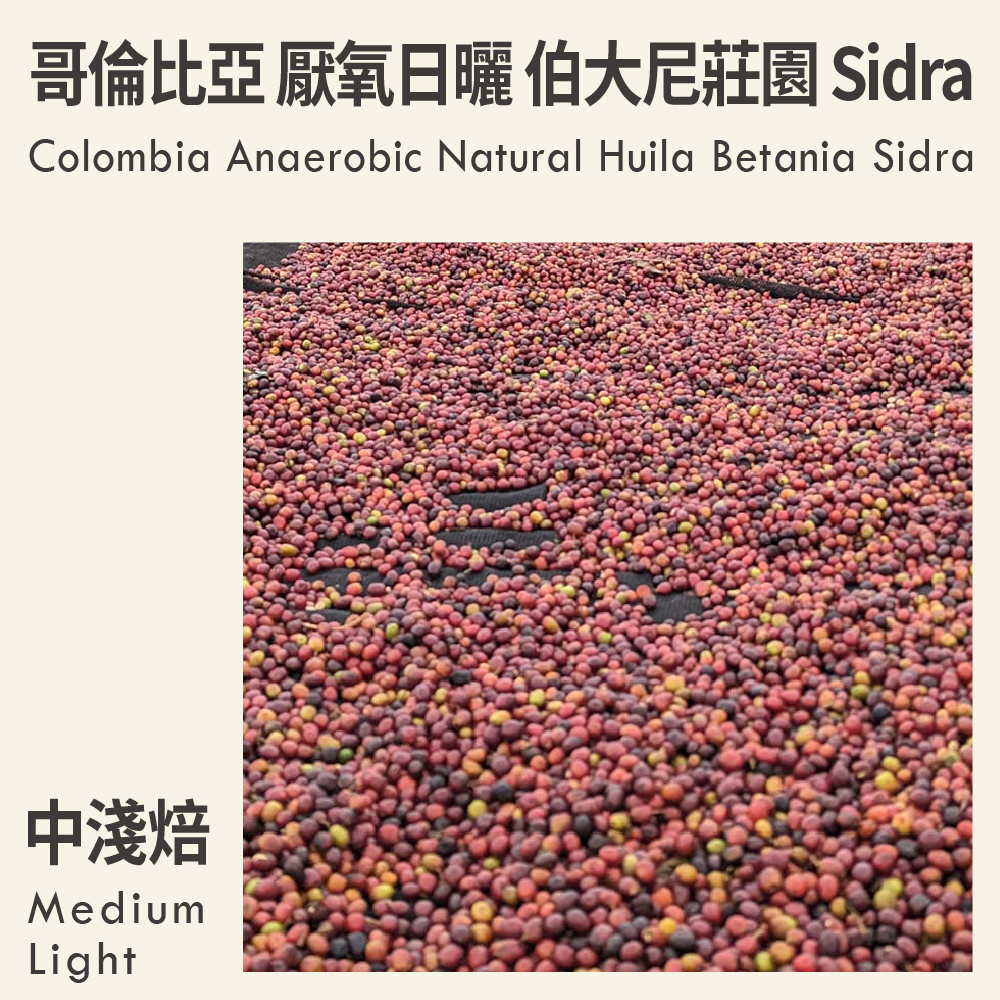 哥倫比亞 厭氧日曬 薇拉 伯大尼莊園 Sidra