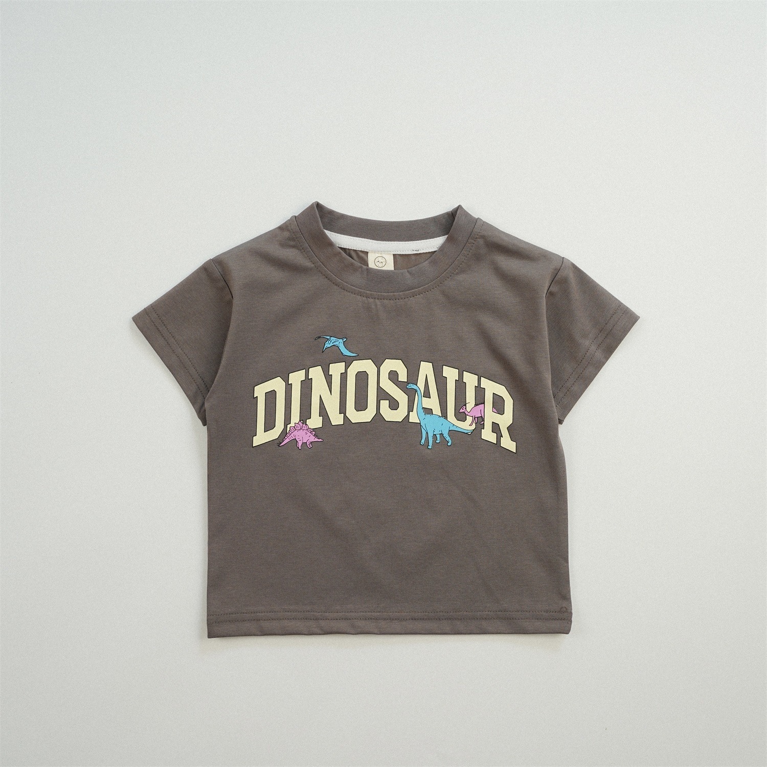 餅乾家🍪特價 DINOSAUR印字Ｔ恤(80-130)
