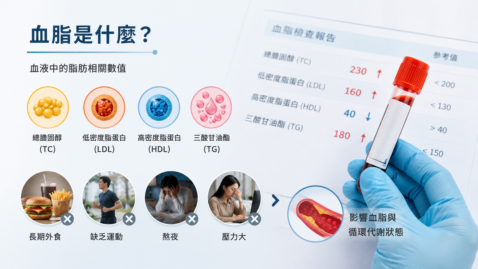 血脂是什麼