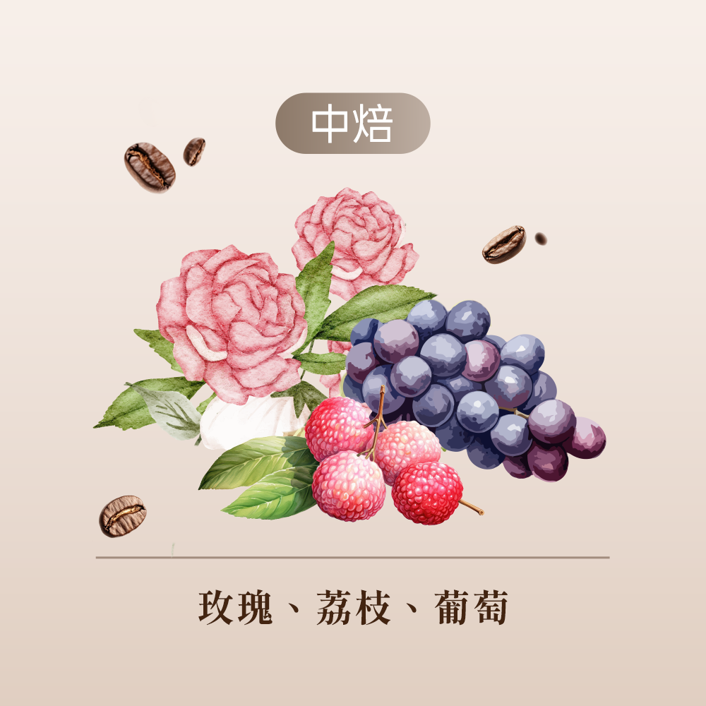 印尼 荔枝