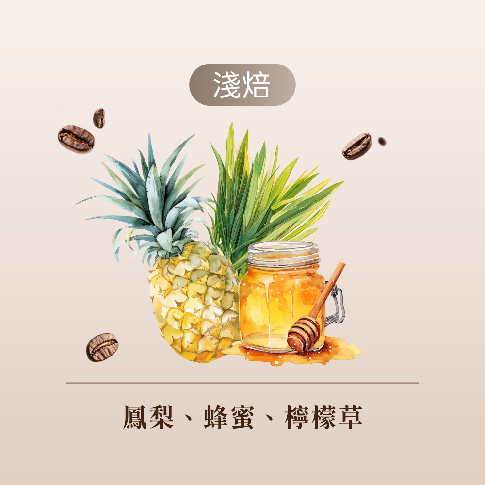 哥斯大黎加 仙度瑞拉