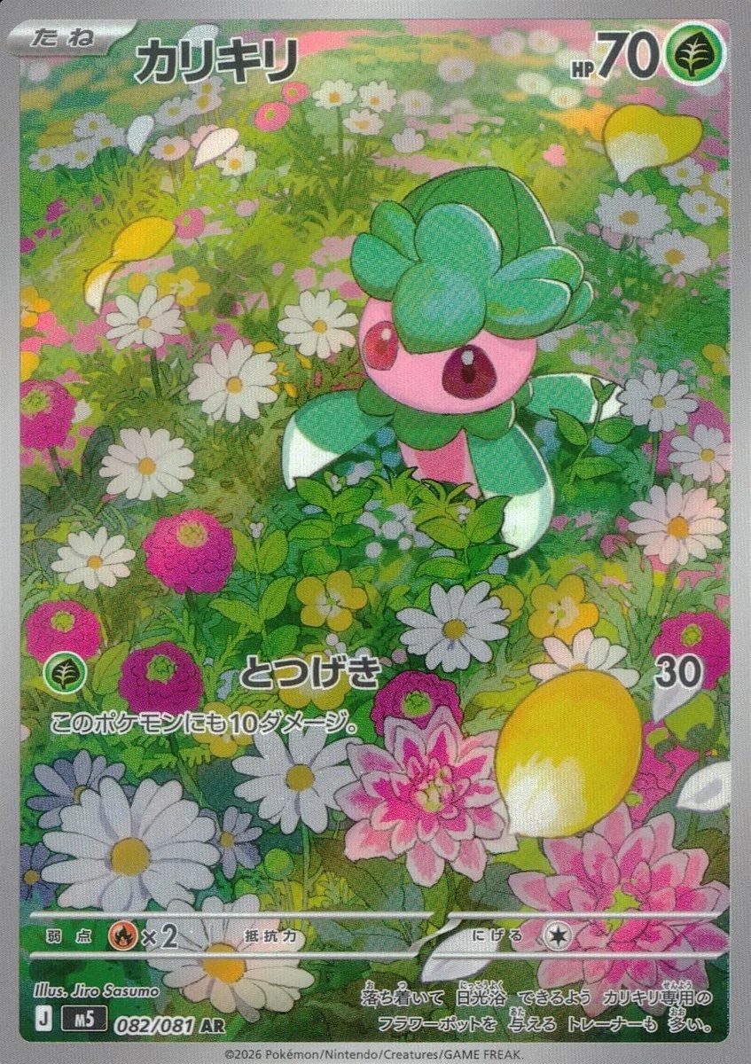 【M5 082／081 AR】カリキリ