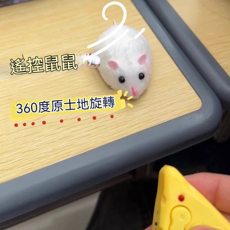 老鼠遙控電動玩具原地旋轉仿真奶酪學生解壓神器女生居家逗貓道具