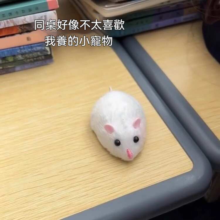 老鼠遙控電動玩具原地旋轉仿真奶酪學生解壓神器女生居家逗貓道具
