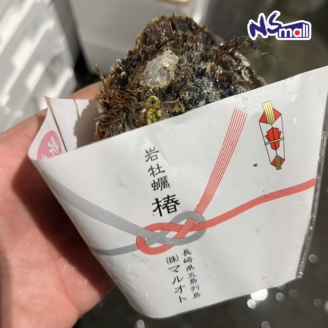 長崎五島列島 TSUBAKI岩蠔 約160-200g/隻