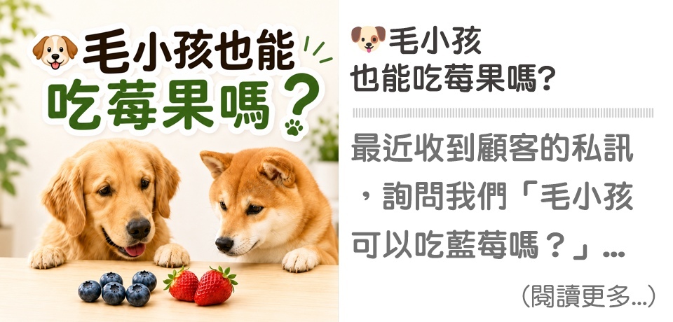 🐶毛小孩也能吃莓果嗎？