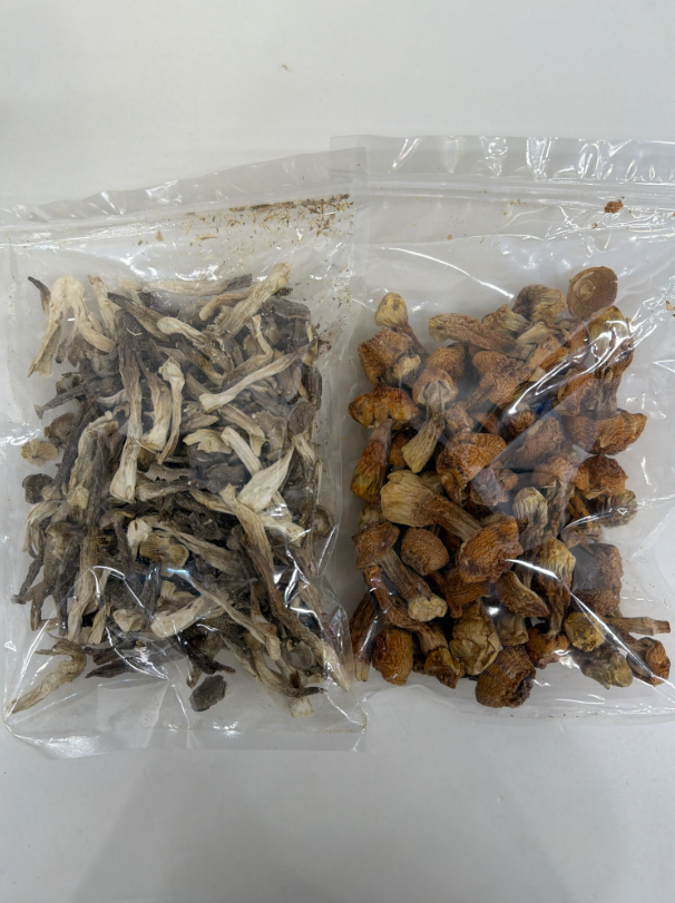 TR05 買一送一套裝 姬松茸 120克  **送鹿茸菇 100克 **到期日:約2027/12 **需冷藏於0-5℃度範圍內保存