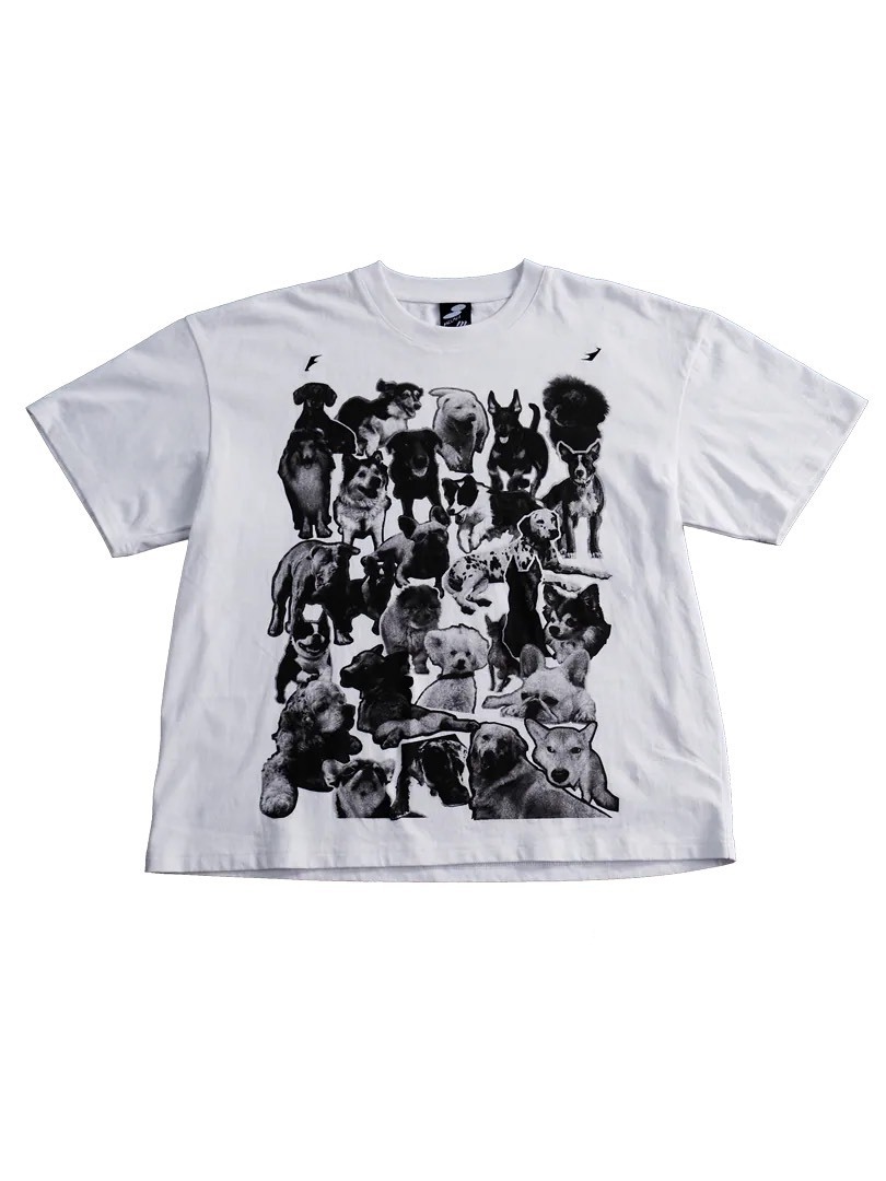 ENCLAVE CROP-FIT SHORT-SLEEVES “PAL” TEE