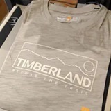 [S] TIMBERLAND BEIGE BEYOND THE TRAIL TSHIRT, TB0A41XF-DH5 (STL23)