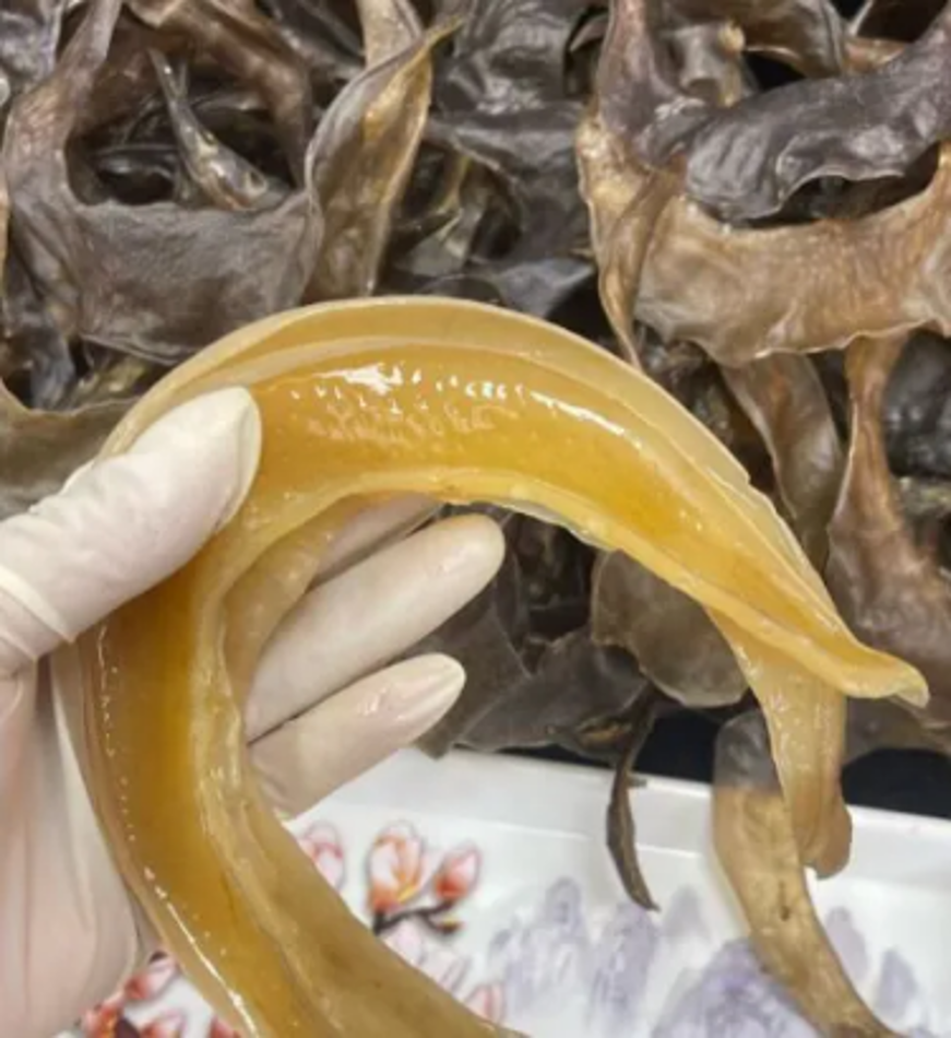 BD033 山瑞裙邊300g(約23-26隻) EXP: 12個月