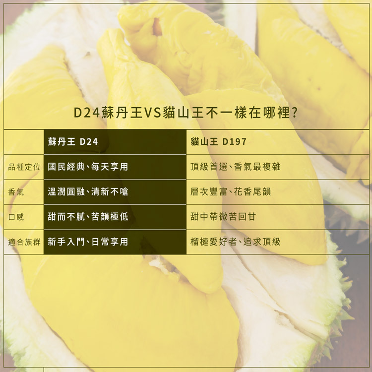 D24 蘇丹王 VS 貓山王品種比較 — 品種定位、香氣、口感、適合族群一張圖看懂