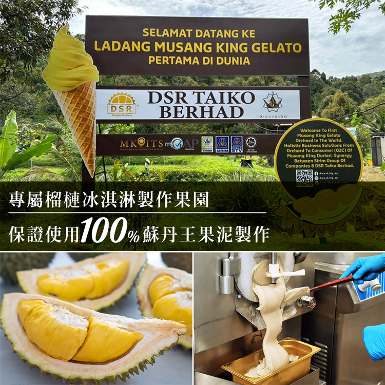 DSR TAIKO BERHAD 馬來西亞專屬榴槤冰淇淋製作果園 — 保證使用 100% 蘇丹王果泥製作