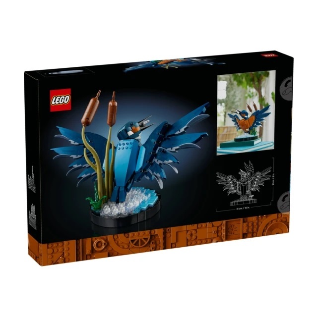 【玩具研究中心】LEGO 樂高 Icons 翠鳥 10331
