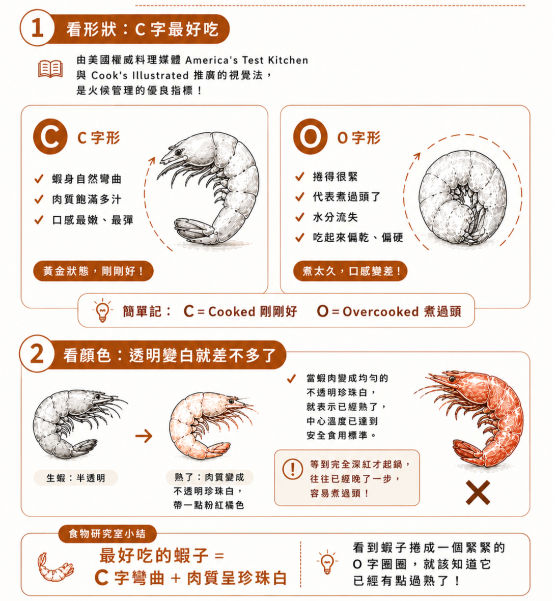 蝦子熟度科學:C字形代表柔嫩多汁,O字形代表蛋白質過度收縮