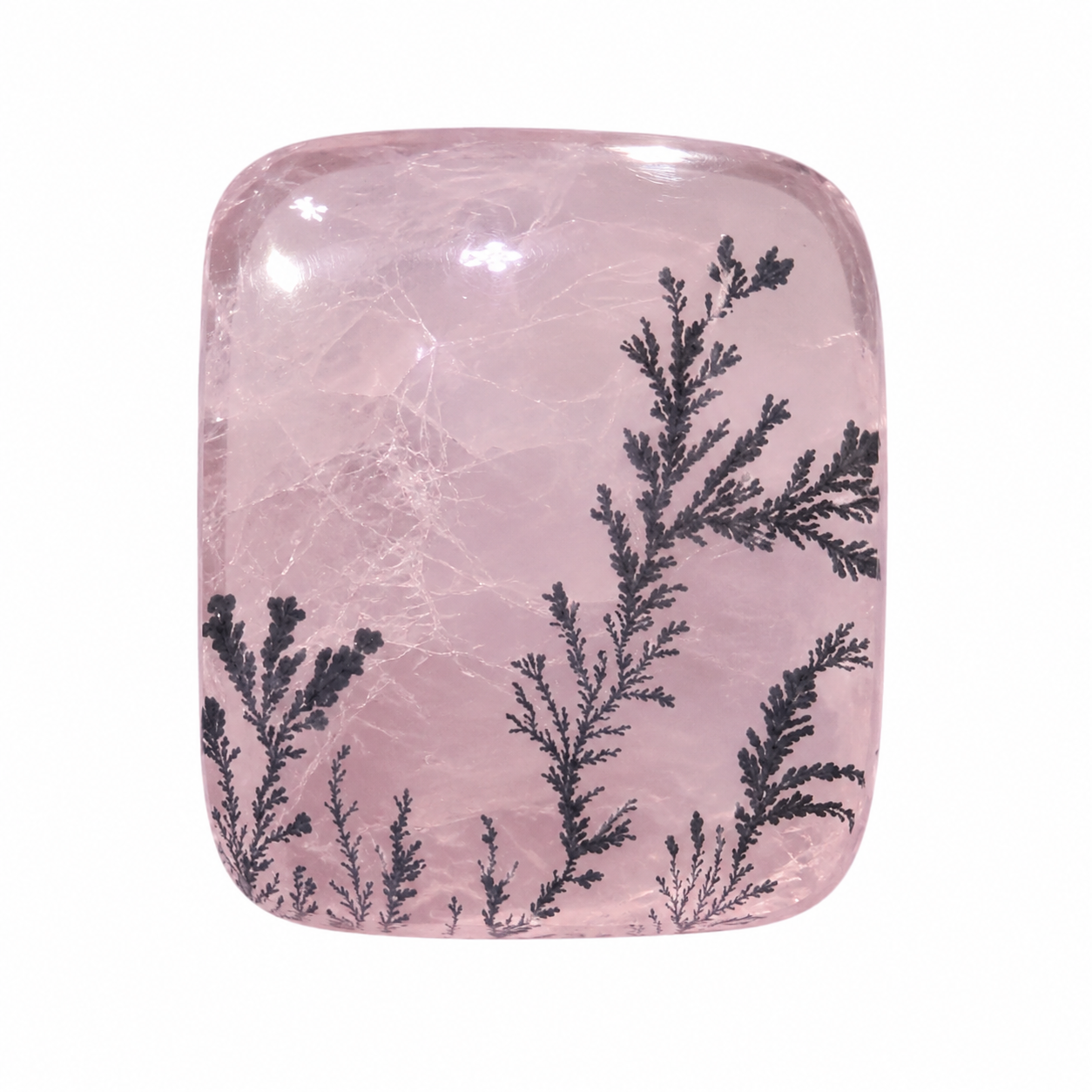 Cork Mineral Forest｜Natural Mineral Landscape Collectible Display