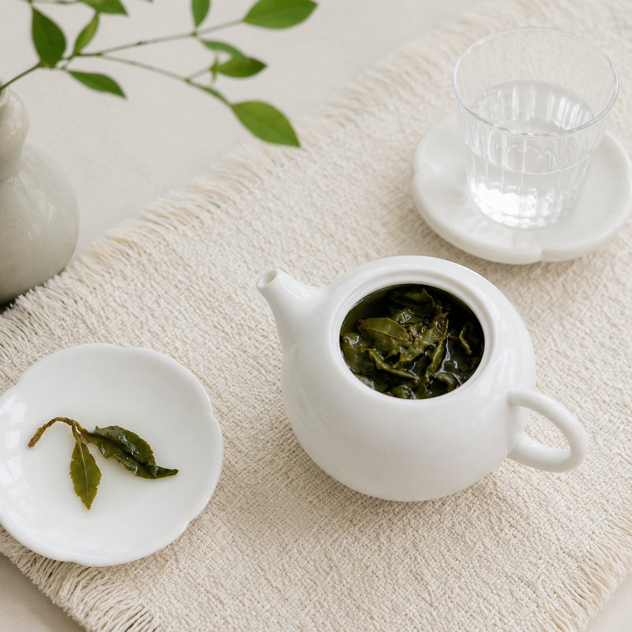 Xin Jia Yang Tea | Taiwan High Mountain Tea