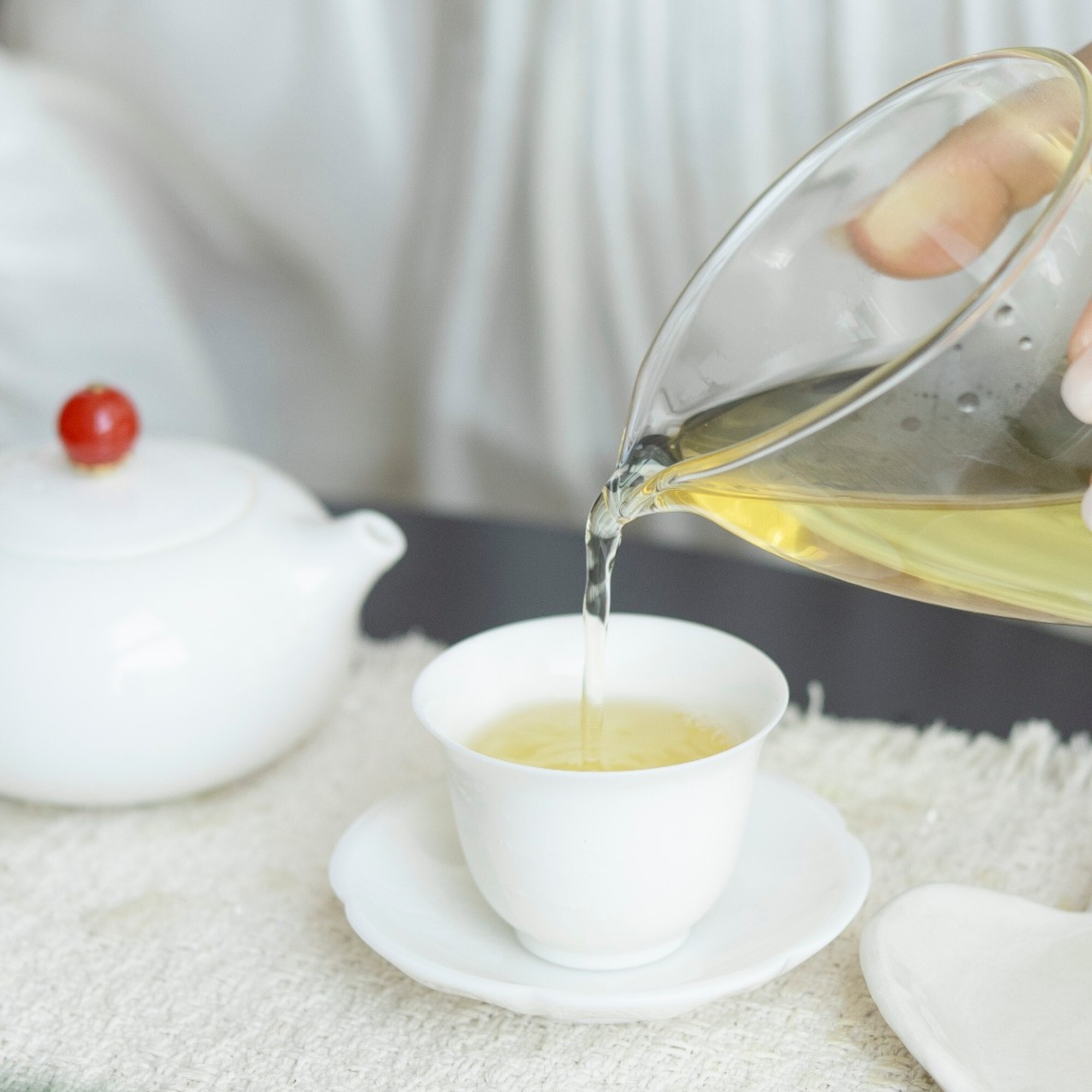 Xin Jia Yang Tea | Taiwan High Mountain Tea
