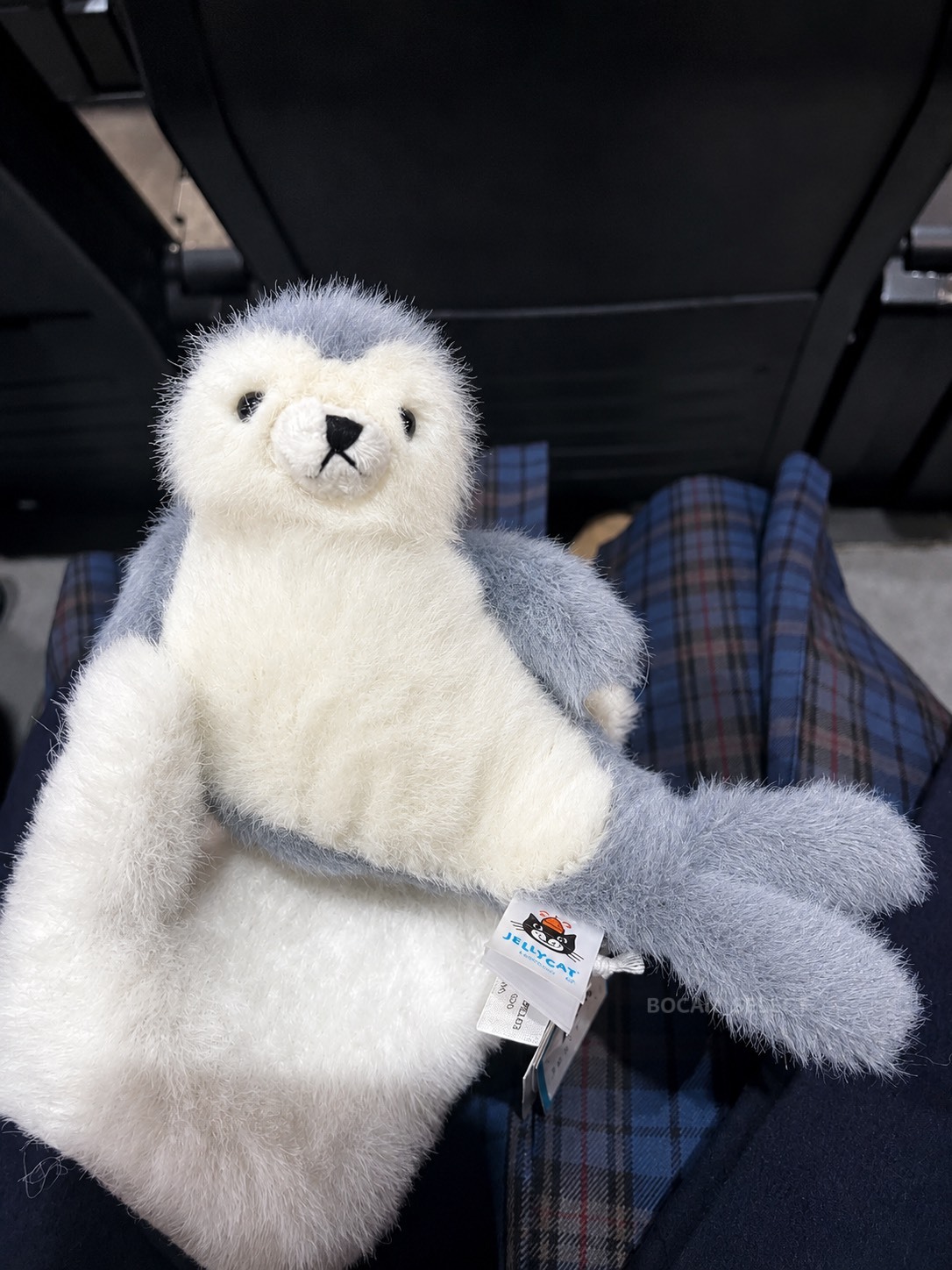 JELLYCAT 海洋系列 小海豹 毛絨公仔