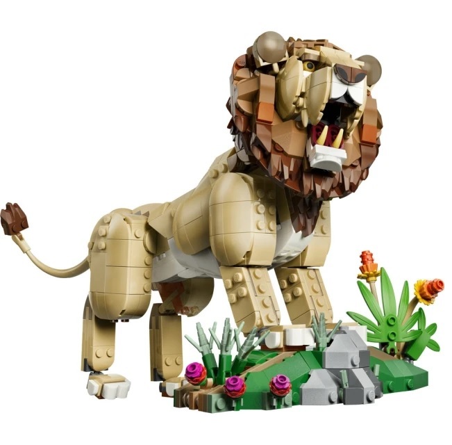 【玩具研究中心】LEGO 樂高 創意百變3合1系列 野生動物：威風獅子 31386