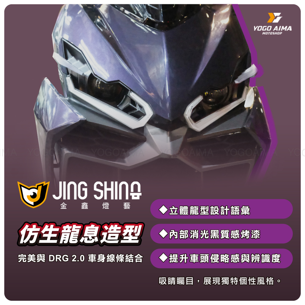 金鑫燈藝 DRG2.0 神龍大燈