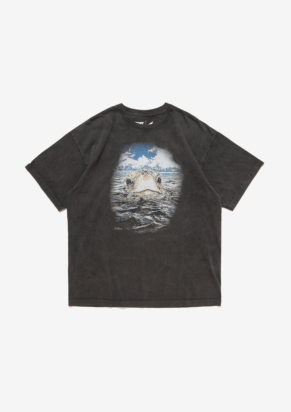 【Scott Hawaii | DESCENDANT】 EDST SS PIGMENT DYE SCOTT HAWAII