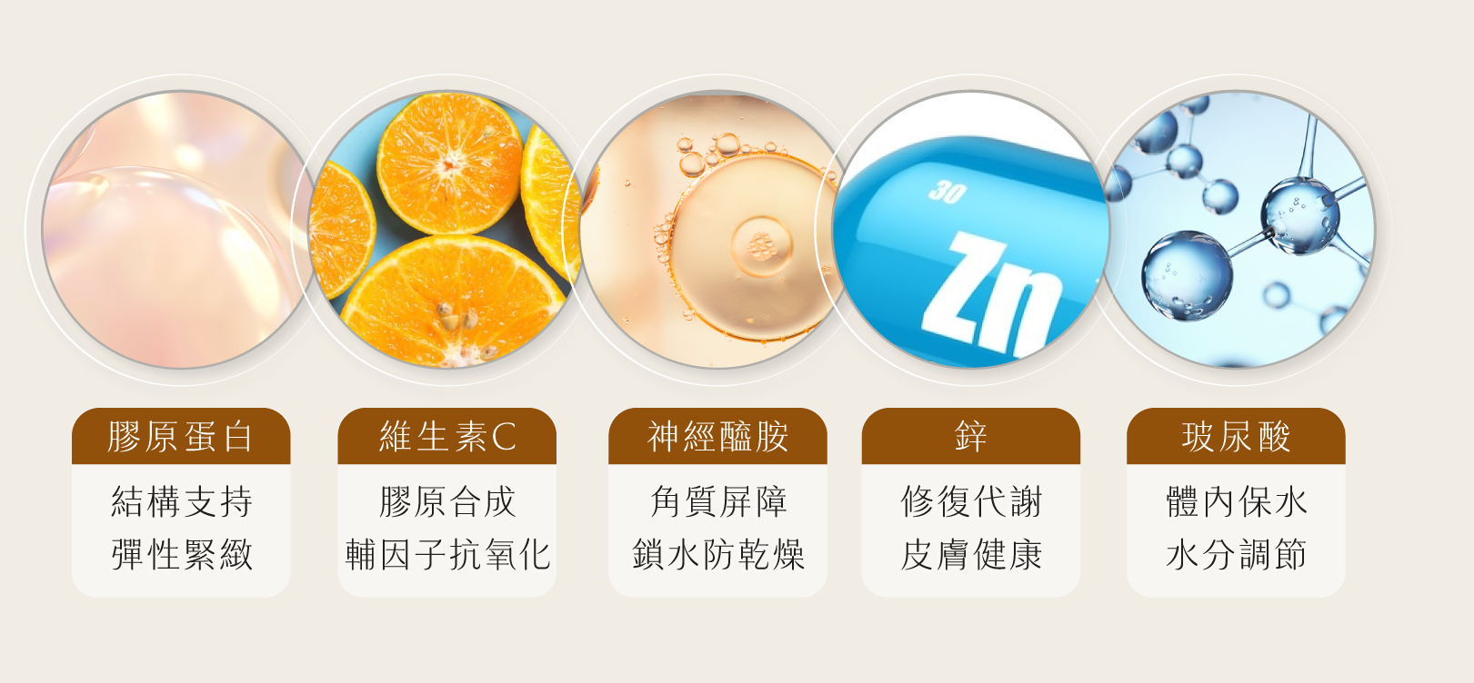 日食一善,好漂亮膠原蛋白,膠原蛋白怎麼選,養顏美容吃什麼?膠原蛋白.維生素c,神經醯胺,玻尿酸,鋅,無雌激素膠原蛋白,膠原蛋白推薦,余甘子
