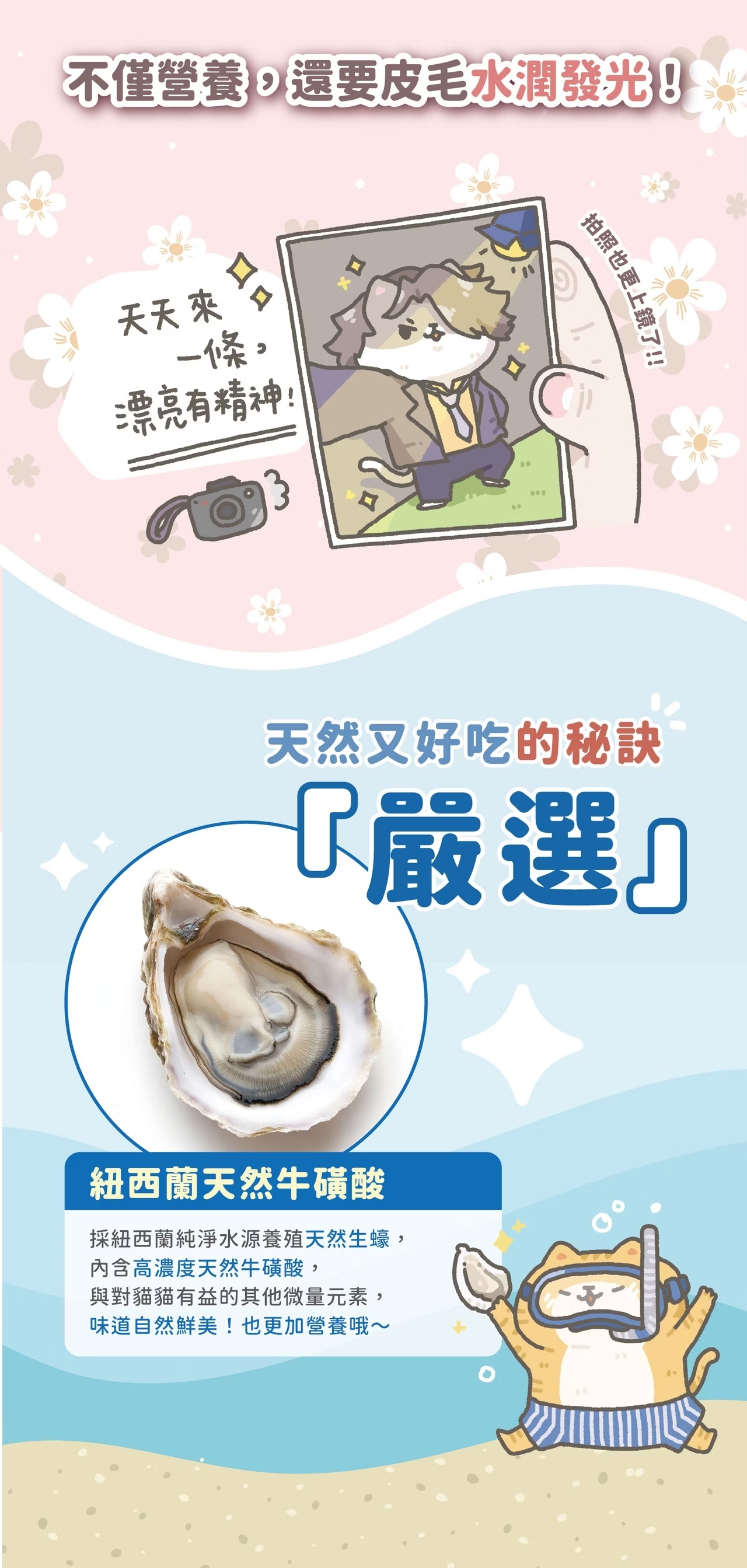 貓有話說 玻尿酸護膚SPA 主食肉泥