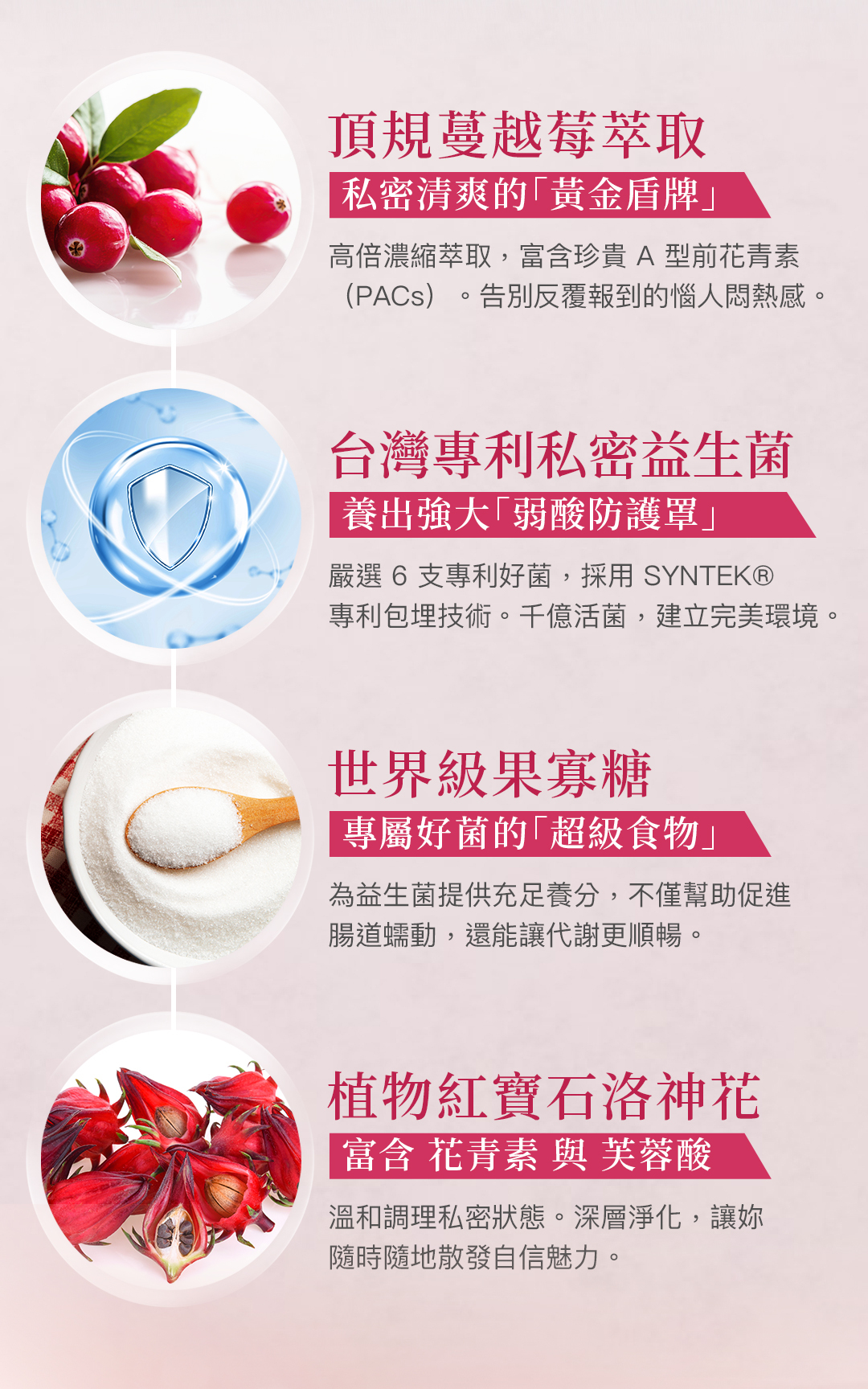 蔓蔓好益生菌四大黃金成分：頂規蔓越莓萃取、台灣專利SYNTEK包埋私密益生菌、世界級果寡糖與植物紅寶石洛神花