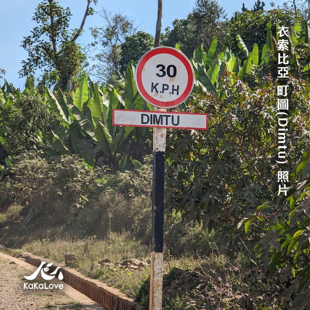 Ethiopia Natural Guji Hambella Dimtu G1