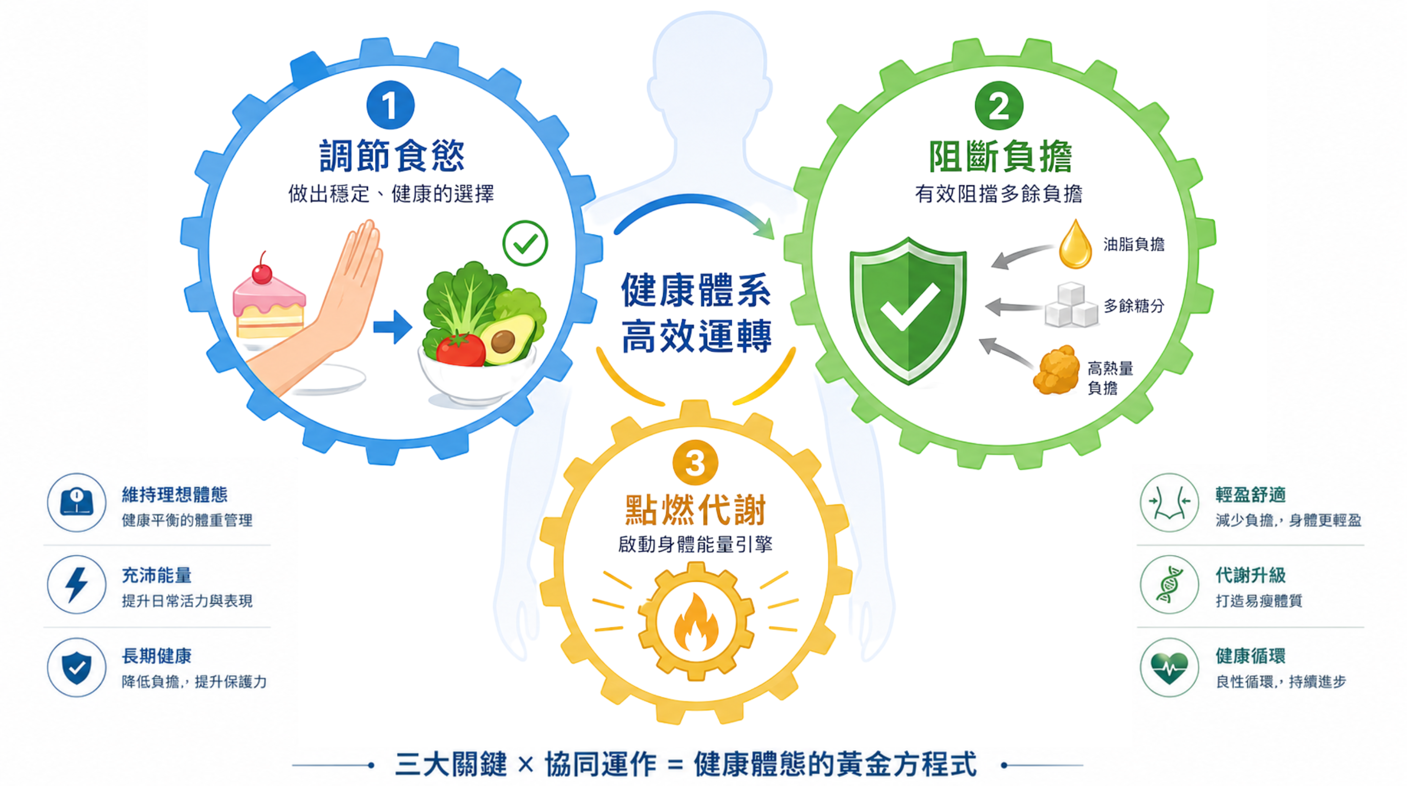 正確觀念:別再餓肚子!三管齊下調整體質 當我們陷入代謝停滯的焦慮時,最常犯的錯誤就是採用極端的飢餓療法。事實上,長期挨餓反而會讓身體啟動節能機制,進一步壓低代謝。要建立長久且健康的循環,我們需要將身體視為精密系統,從以下三個維度進行體重管理: 調節食慾:透過營養補充與情緒管理,自然降低對精緻糖分的依賴。 阻斷多餘負擔:在忙碌外食時,為身體建立一道防禦網,減少不必要的吸收。 點燃代謝:提供關鍵營養素,讓生理機能恢復應有的運作效率,啟動身體引擎。 成分科學解析:4大專利草本,啟動你的健康引擎 為忙碌現代人提供科學化的對策: 馬鈴薯蛋白:這是一種強效的飽足感來源,能溫和地向大腦傳遞滿足訊號,讓你不再因為焦慮而頻繁進食,輕鬆建立增加飽足感的方法。 武靴葉萃取:被譽為「糖分防護盾」,能協助維持醣類正常代謝,讓你面對甜點誘惑時,也能維持平穩的健康狀態,告別「愛吃甜食怎麼辦」的焦慮。 專利褐藻:源自純淨海洋的天然資源,具備優異的包覆與調整能力,能有效幫助阻斷日常飲食中不必要的負擔。 毛喉鞘蕊花:風靡歐美的明星成分,能從根本促進新陳代謝,像鑰匙般喚醒身體的代謝引擎,助你突破長期的停滯困境。 行動呼籲:給身體一次重新啟動的機會 維持健康狀態從來就不是一場需要咬牙苦撐的短期戰役,而是一場透過正確觀念與科學輔助達成的長期生活方式。別讓壓力與久坐持續拖垮你的代謝引擎,現在就把握「無感退費」的承諾,讓科學成為你健康管理路上最可靠的後盾,找回屬於你的輕盈自信!