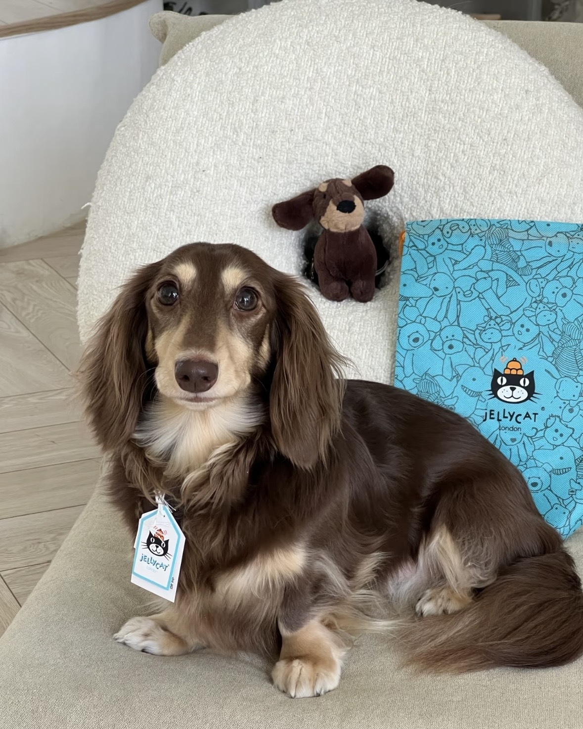 JELLYCAT 臘腸狗 玩偶 安撫娃娃 咖啡色 17cm