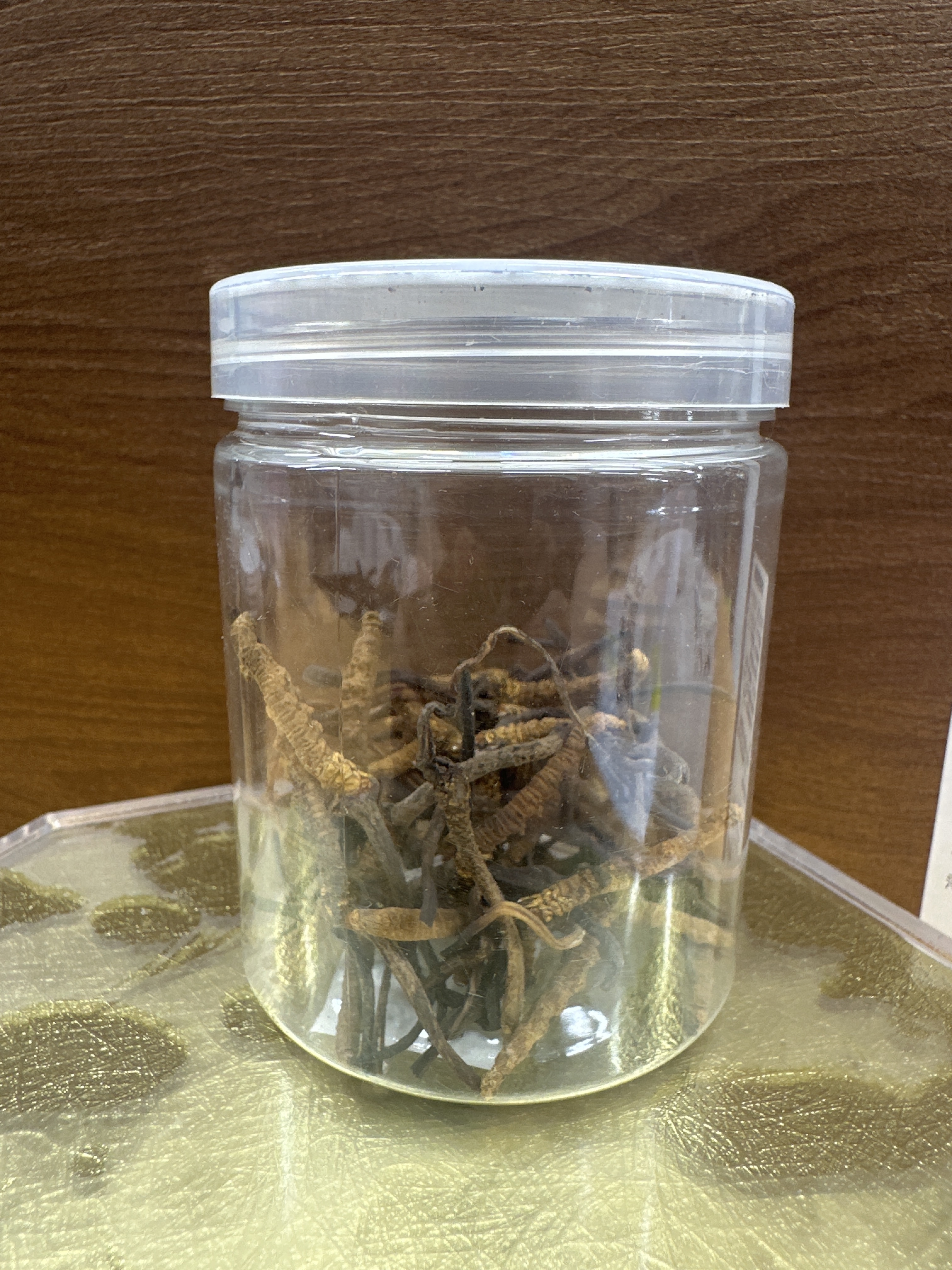 TR13 西藏冬蟲夏草8.5克 **到期日:約2027/12  [需擺放雪櫃(0-8度)，如預計較長時間食用，應密封好存放入雪櫃冰格(-18度或以下) 為佳]
