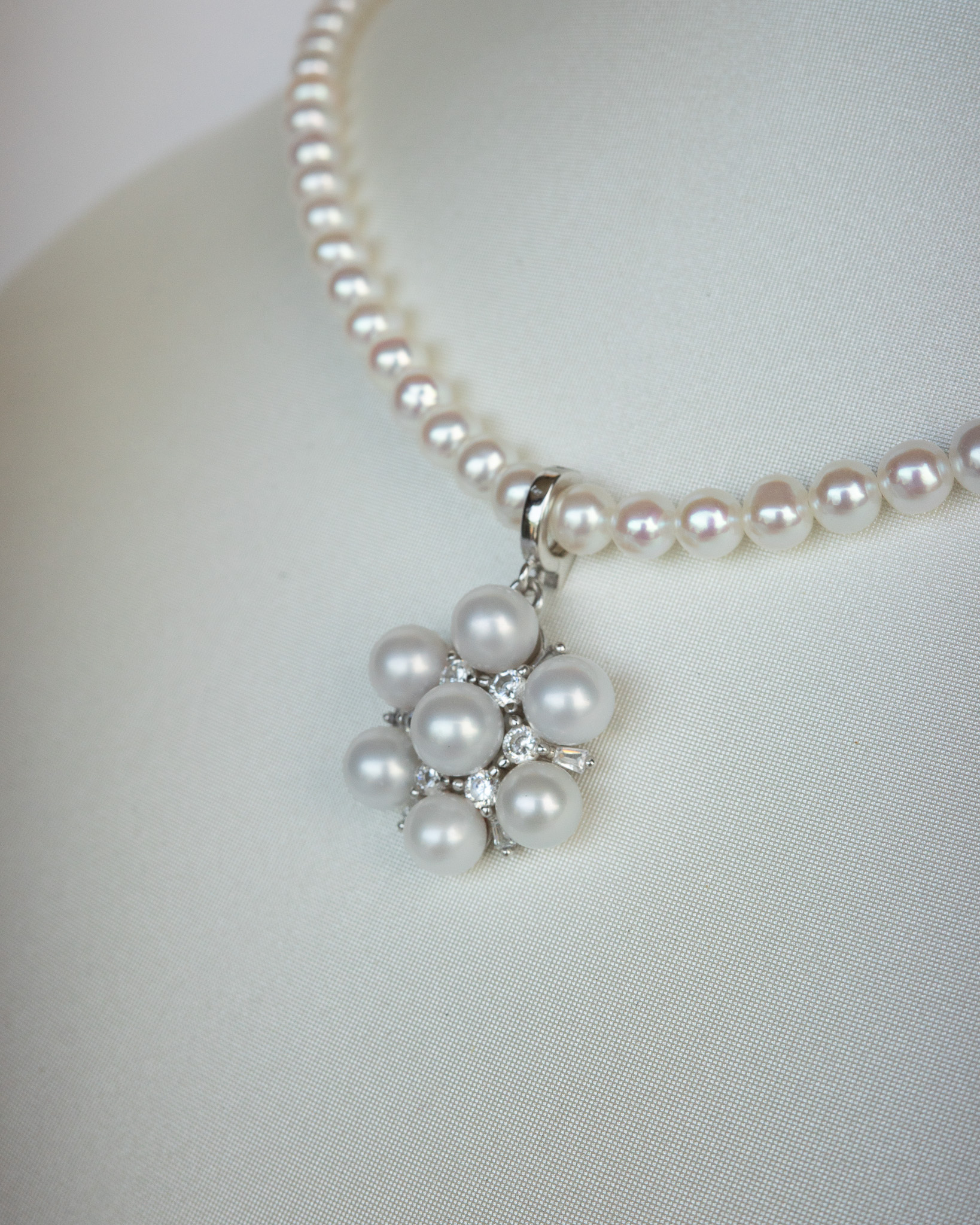 Boule de Fleur花圓
