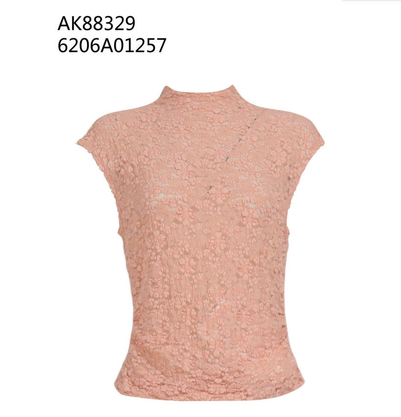 0612AT48-ANOTHERSZHK-APPAREL-法式浪漫半高領滿印蕾絲修身短袖襯衫打底衫（A-B48）