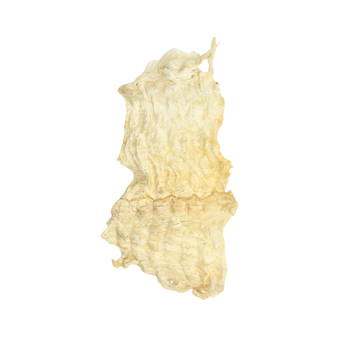 synature - 100% Malaysian Crocodile Jerky(75g) - Suitable for those concerned about respiratory health