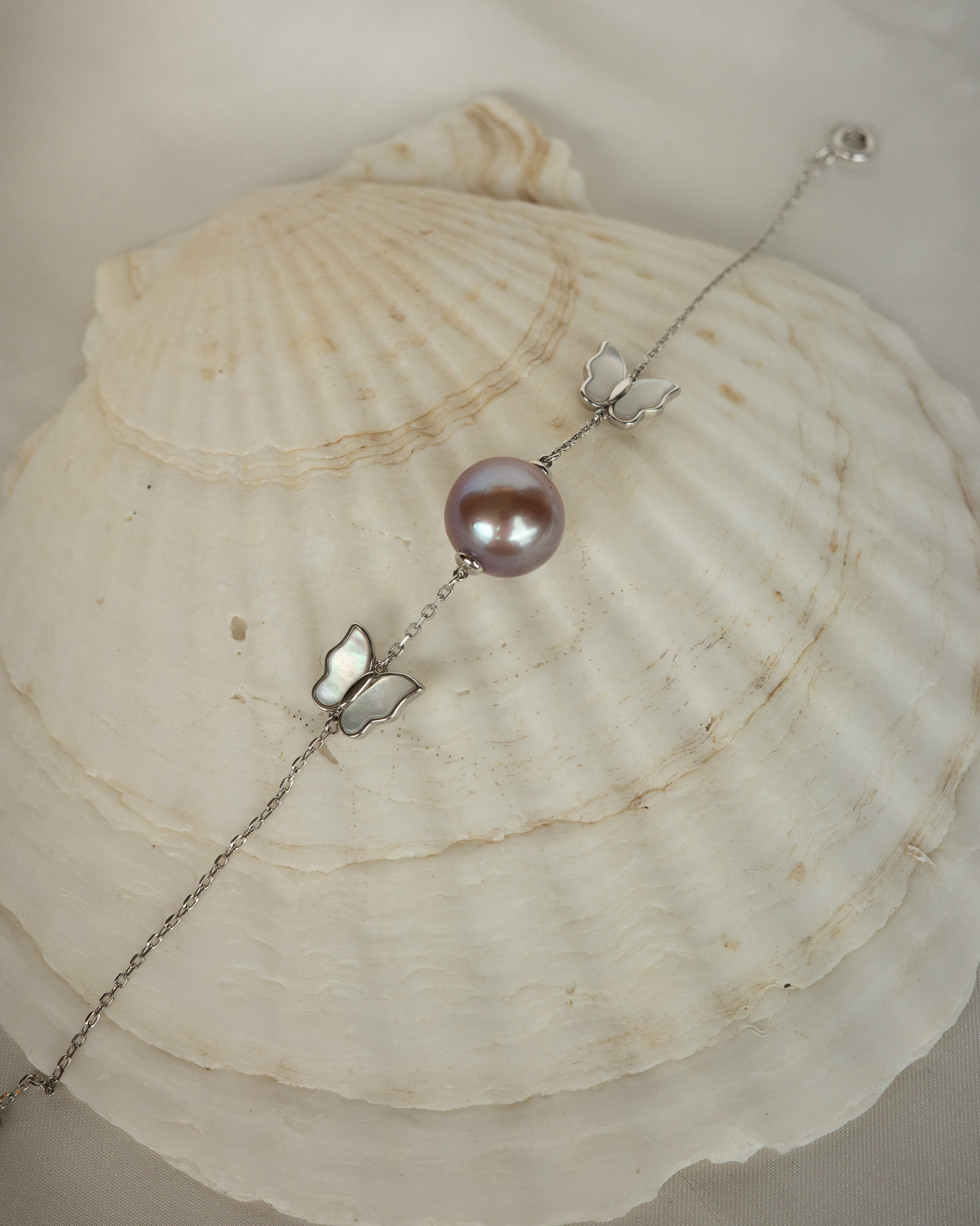 Étoile Violette & Papillon 紫星與蝴蝶