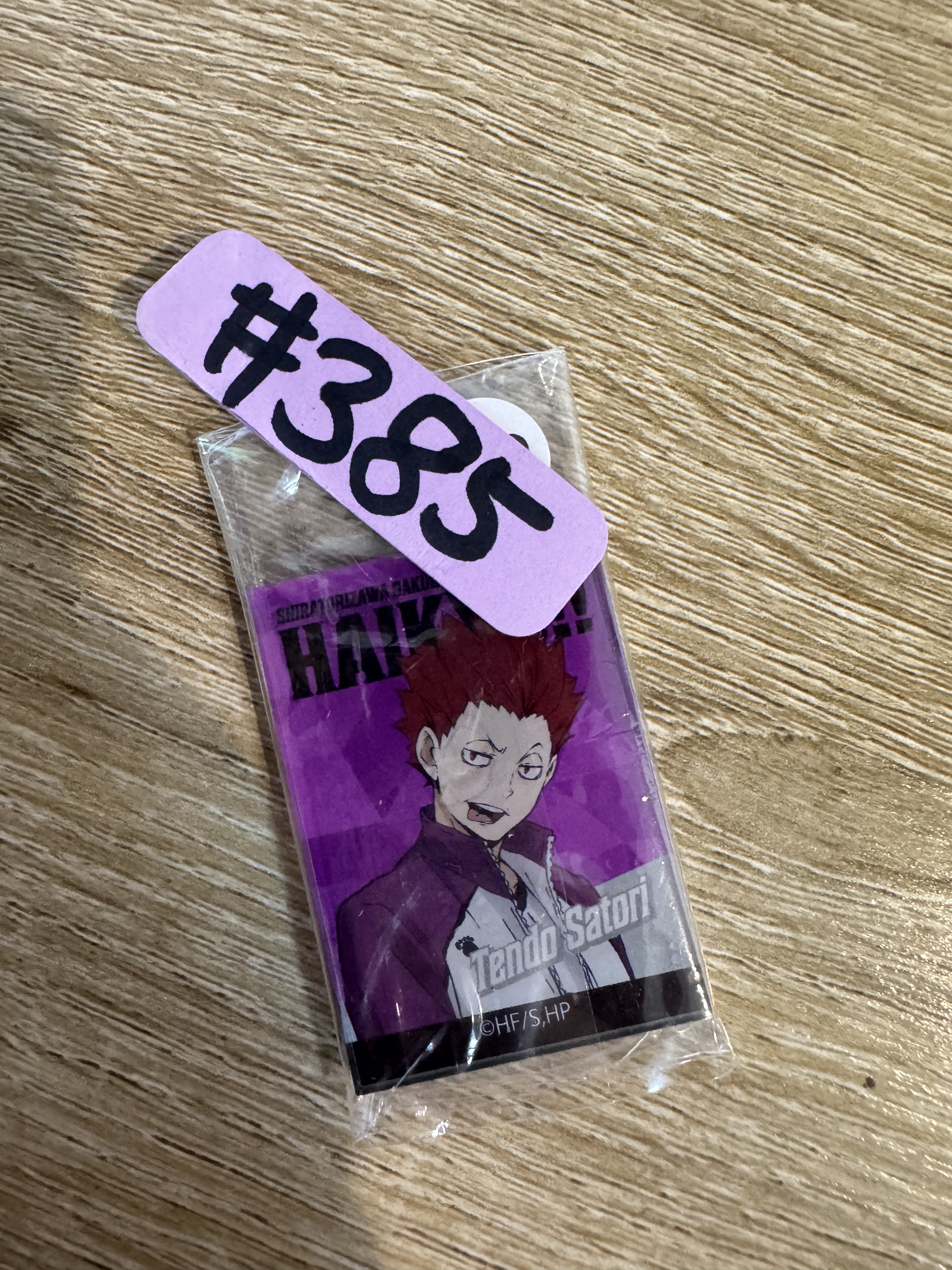排球少年 天童 磁石#385