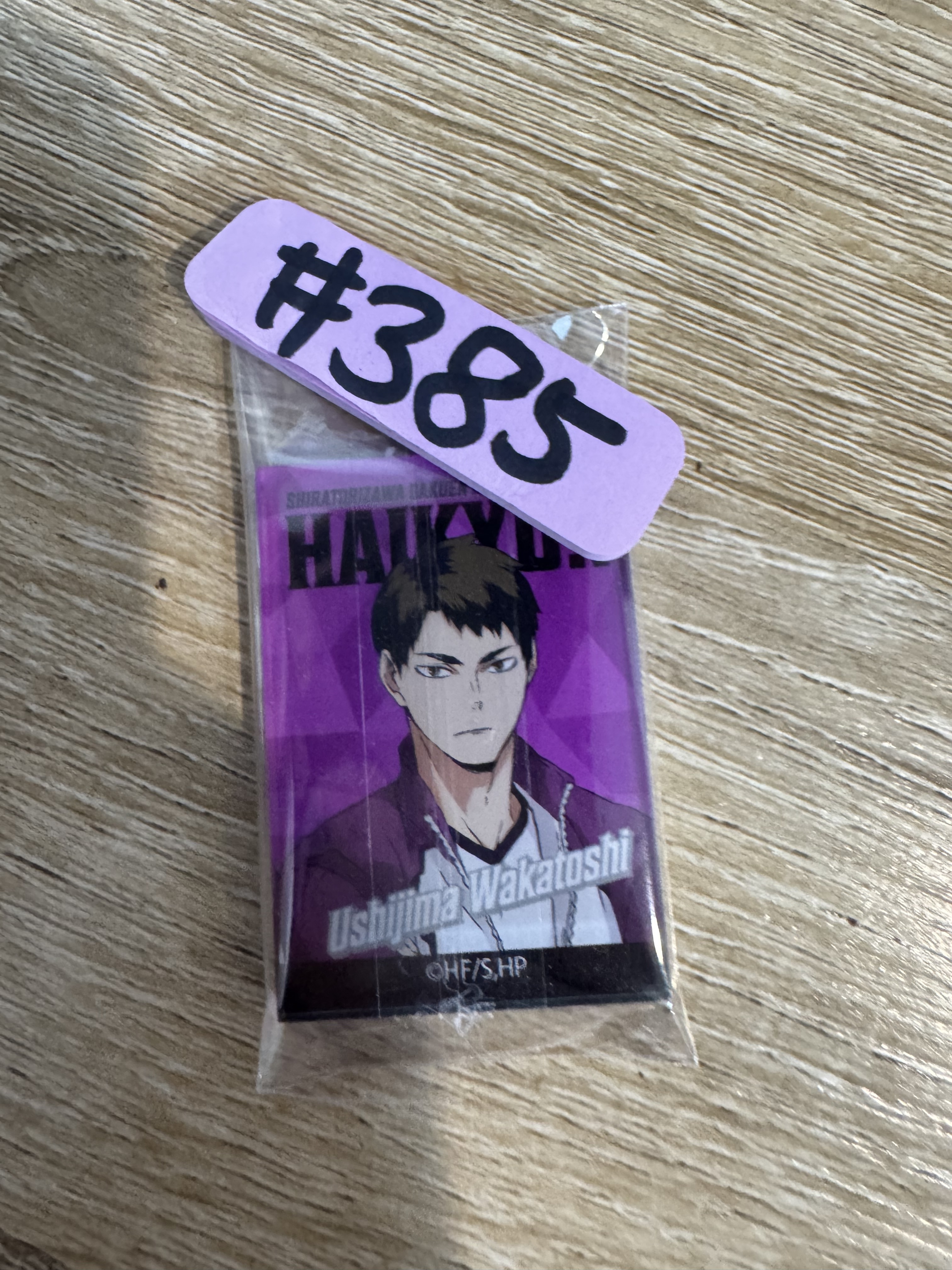 排球少年 牛島 磁石#385