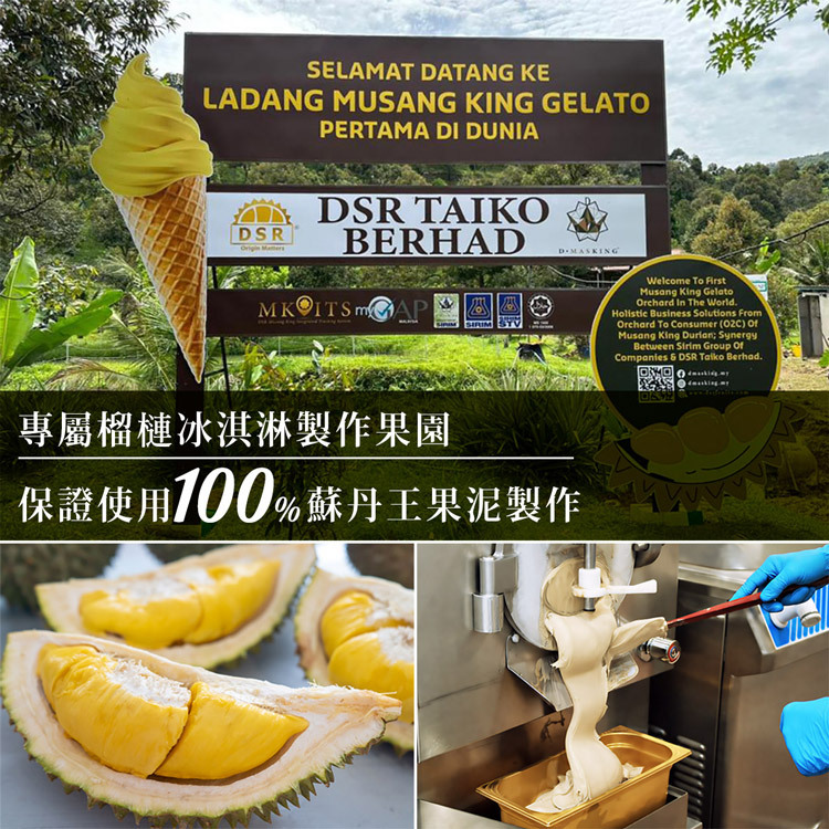 DSR TAIKO BERHAD 全球第一座貓山王 Gelato 專屬果園 — 專屬榴槤冰淇淋製作果園，保證使用 100% 蘇丹王果泥製作
