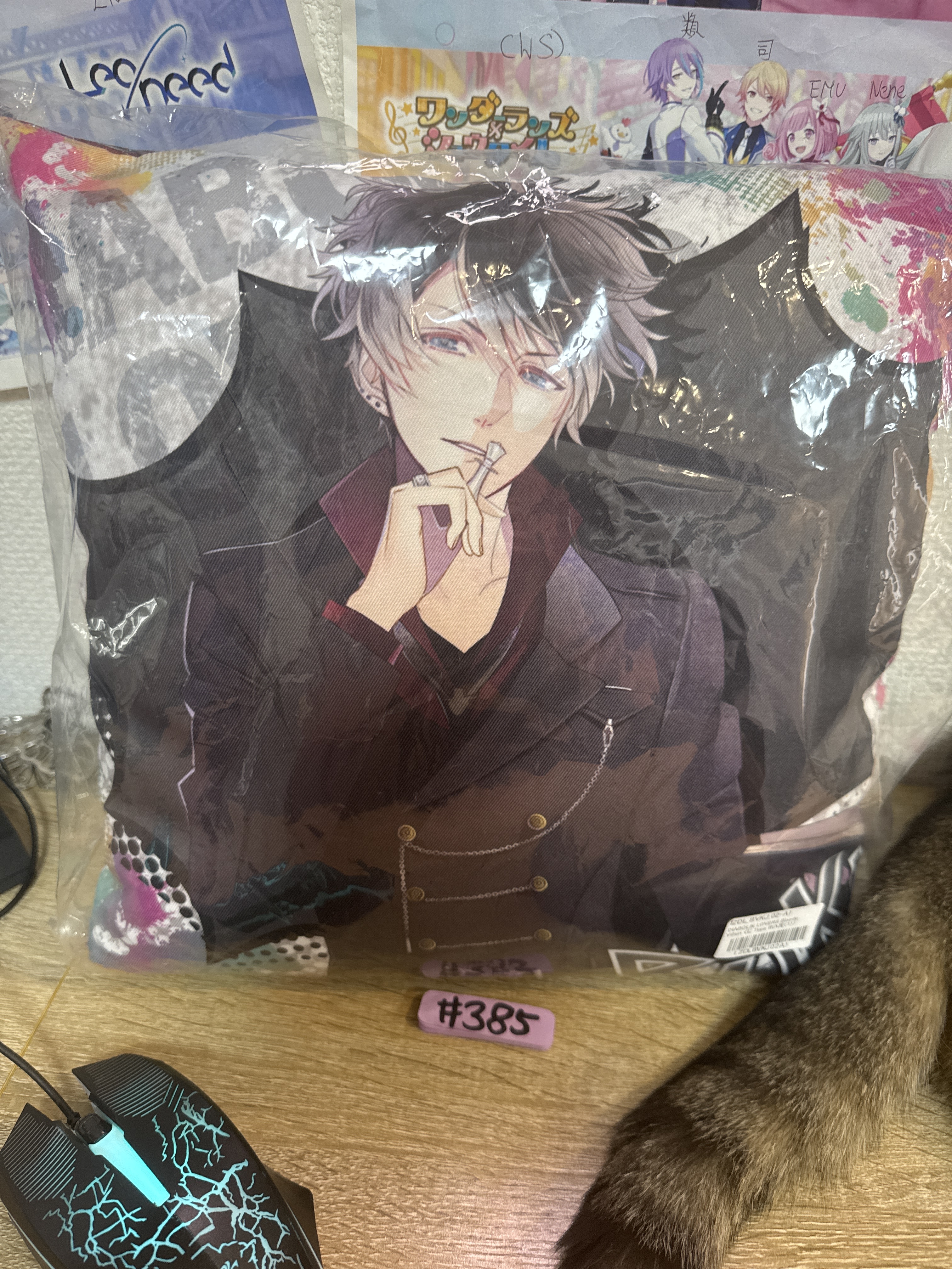 DIABOLIK LOVERS ruki cushion#385