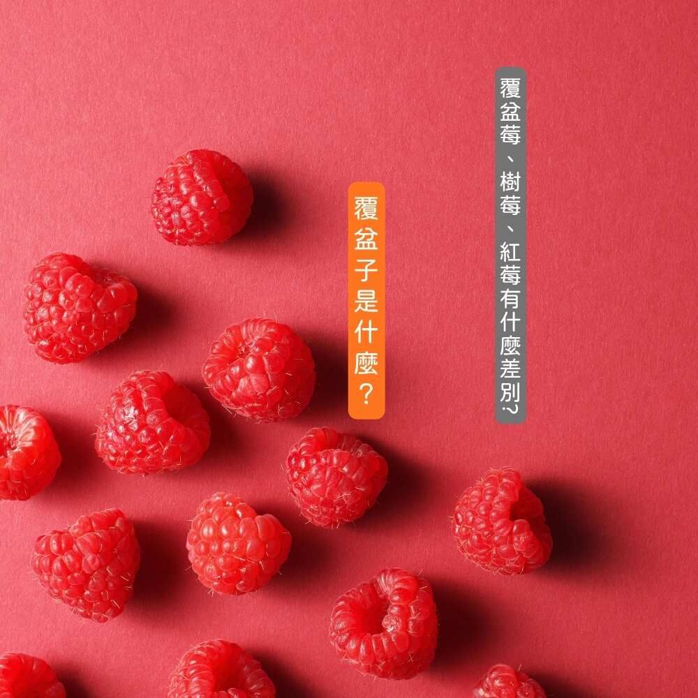 覆盆子是什麼