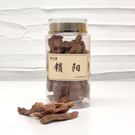 BG014 新疆野生沙漠金鎖陽切片 160g