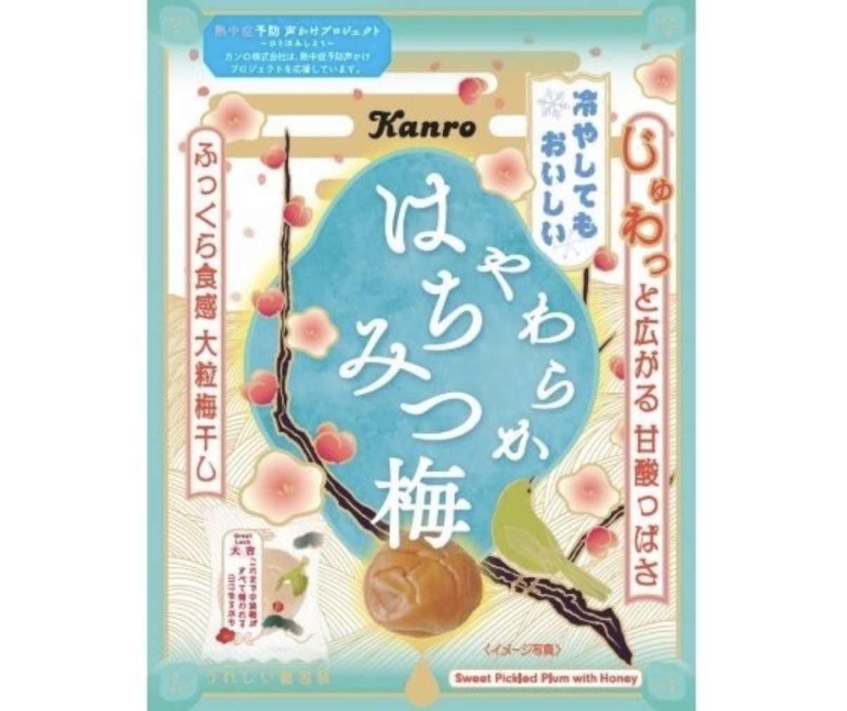JP 柔軟蜜漬大粒梅乾 40g 8669 TK260613