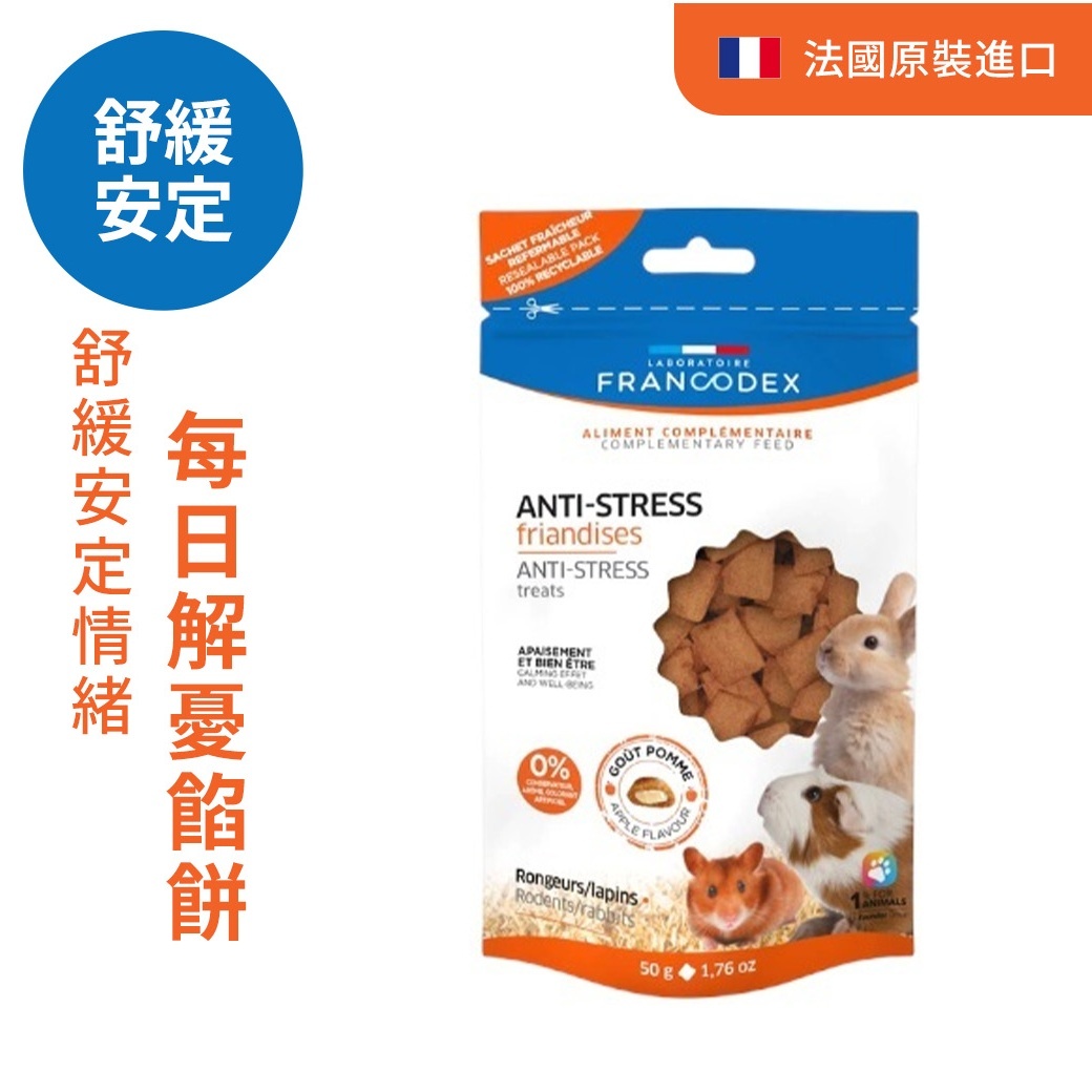 法典 小動物每日解憂餡餅
